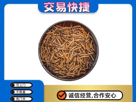 焦作回收散虫草